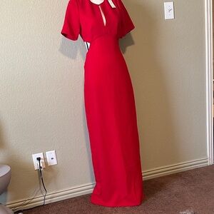 *New With Tags* BCBG Elegant Red Evening Gown